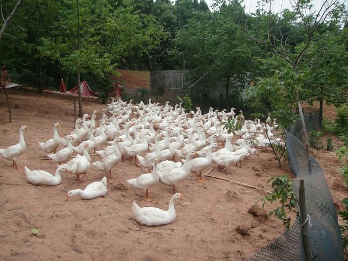 风暴娱乐 92e61