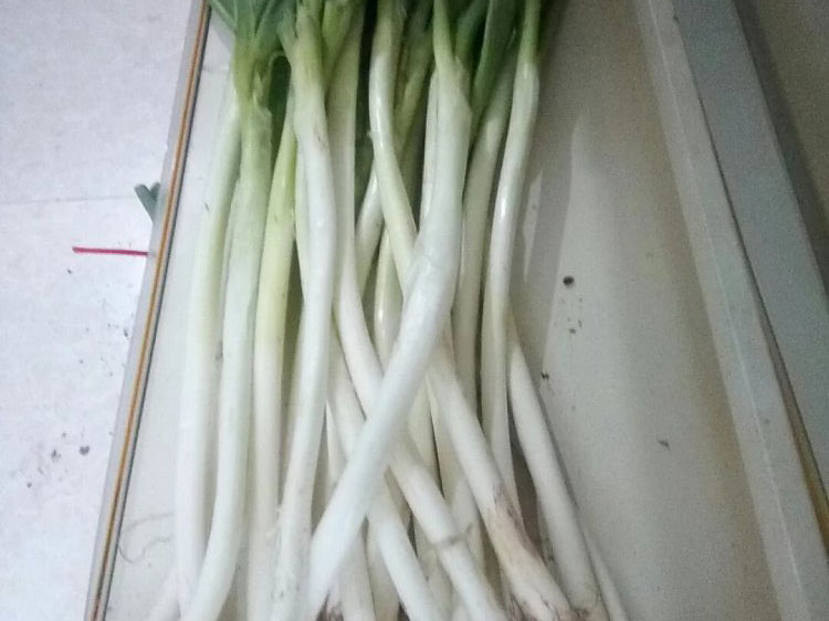 风暴娱乐 fa37f