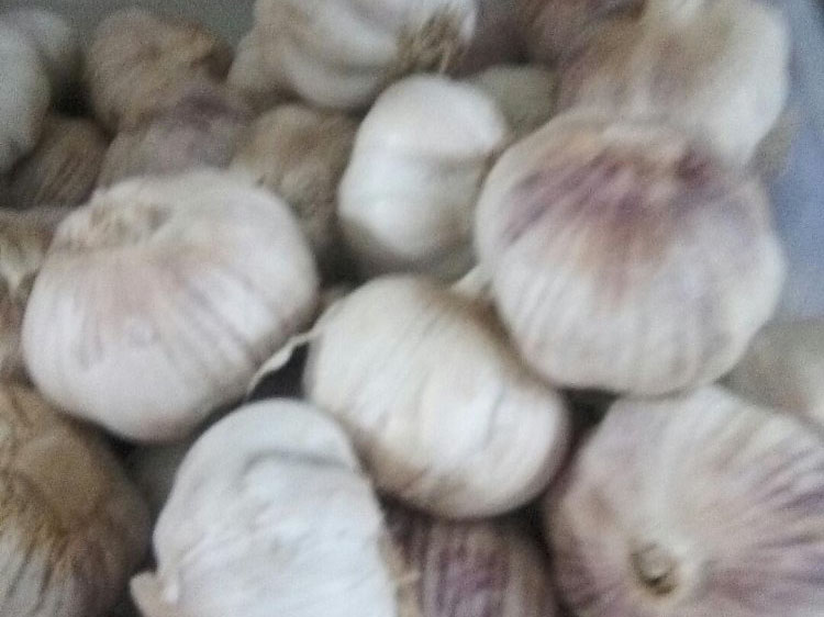 风暴娱乐 bb689