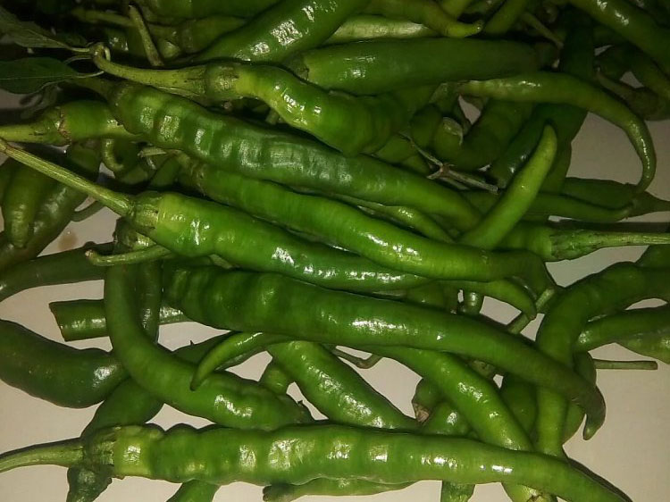 风暴娱乐 da15e