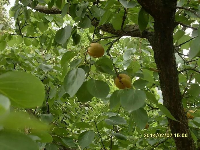 风暴娱乐 5a000