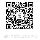 风暴娱乐 0da25