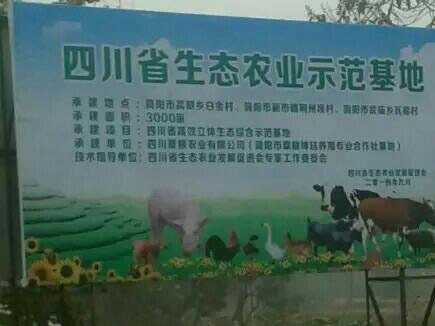 风暴娱乐 79830