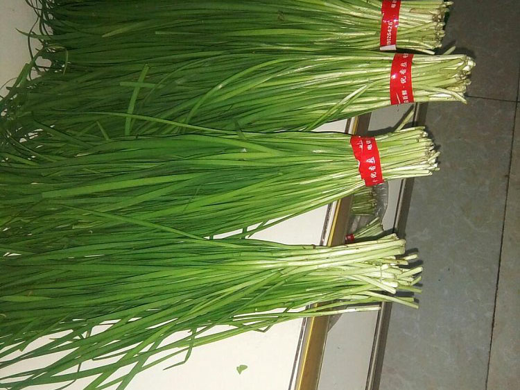 风暴娱乐 34995