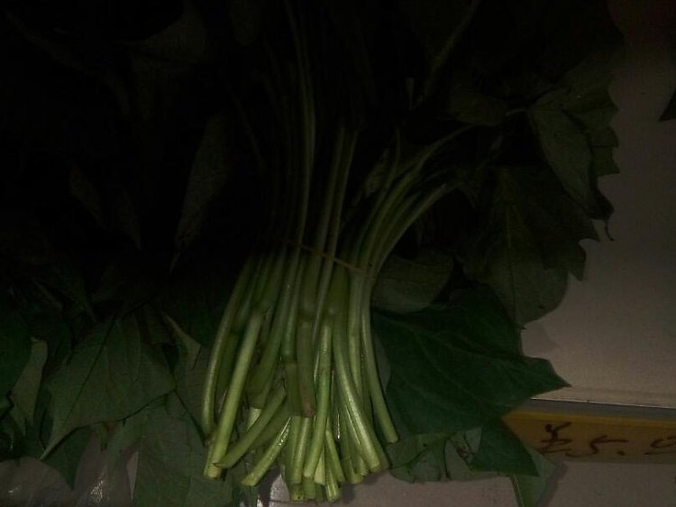 风暴娱乐 f40d8
