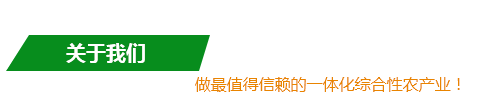 风暴娱乐 5727a