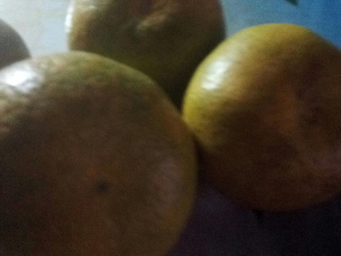 风暴娱乐 66c6f