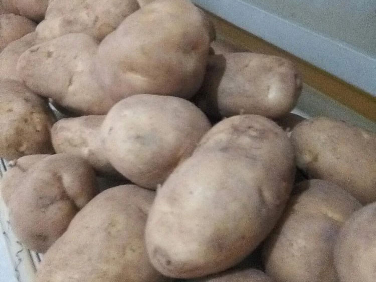 风暴娱乐 9d389