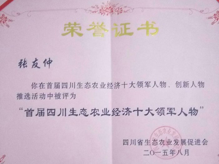 风暴娱乐 5130a