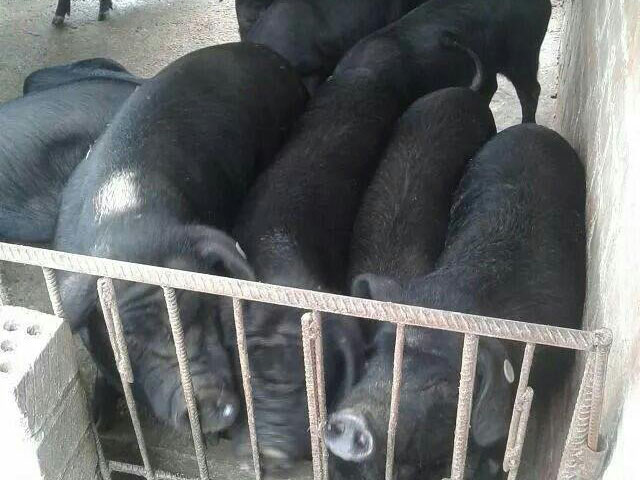 风暴娱乐 2730d