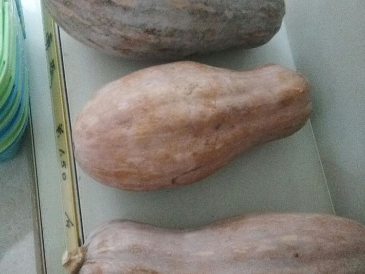 风暴娱乐 46f95