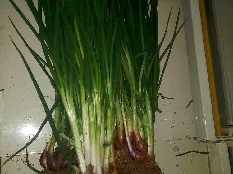 风暴娱乐 18b57