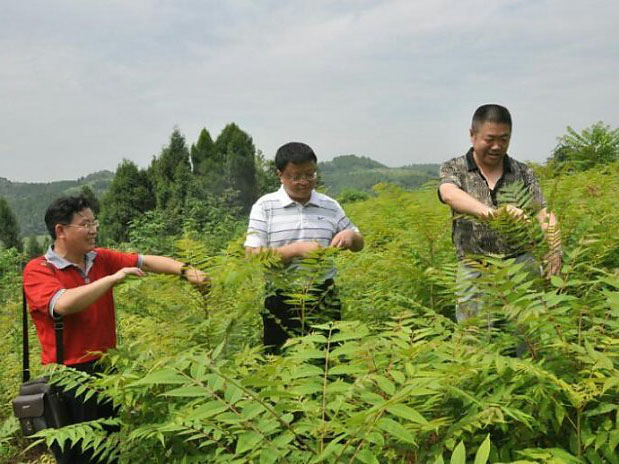风暴娱乐 2191a
