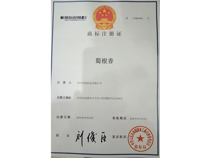 风暴娱乐 27d28
