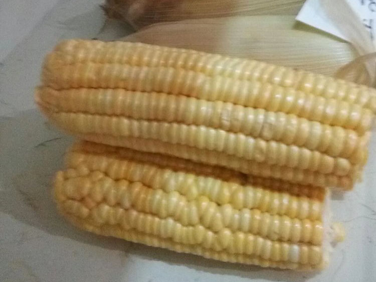 风暴娱乐 41833